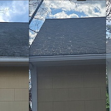 Roof Cleaning System 1